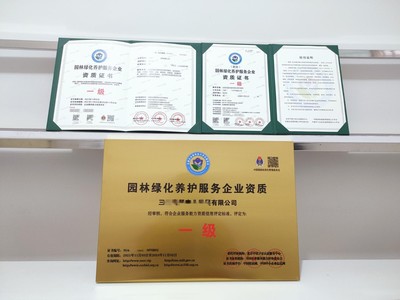 上海市企業(yè)一站式代辦服務 營業(yè)執(zhí)照、務代碼證、財務咨詢與代理記賬全解析